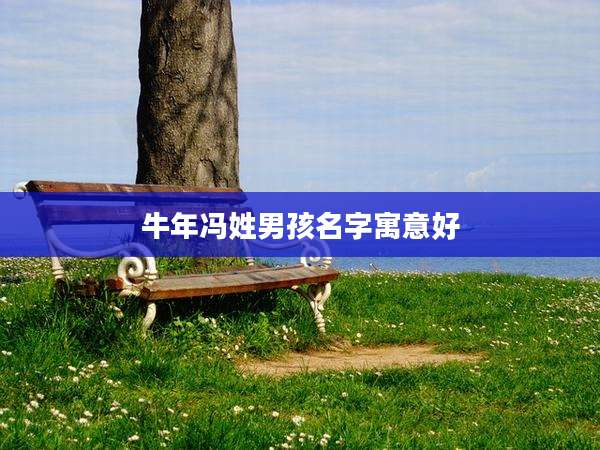 牛年冯姓男孩名字寓意好
