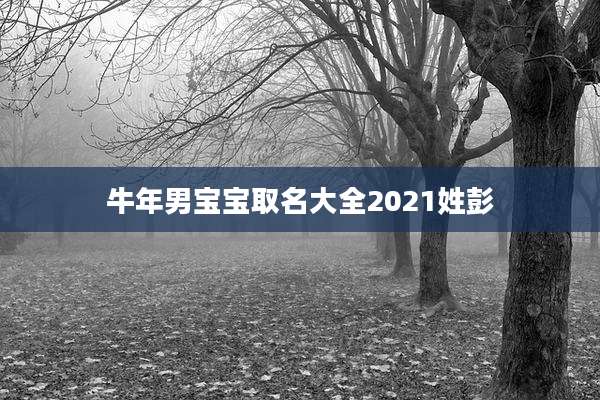 牛年男宝宝取名大全2021姓彭