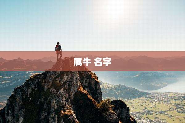 属牛 名字