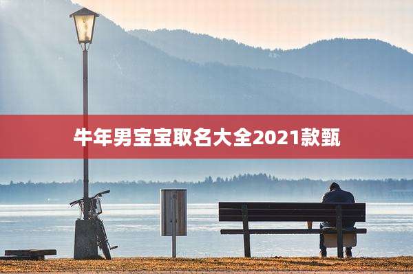 牛年男宝宝取名大全2021款甄