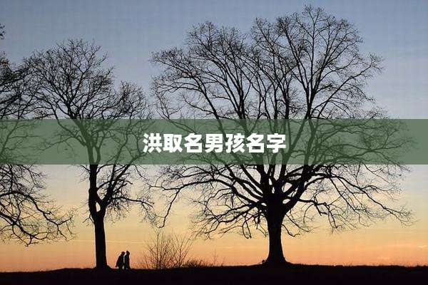洪取名男孩名字