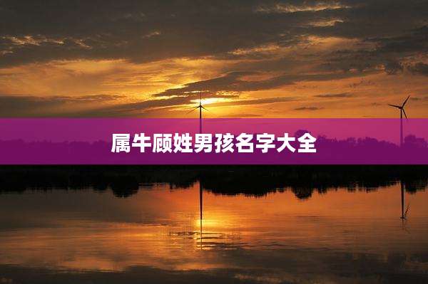 属牛顾姓男孩名字大全
