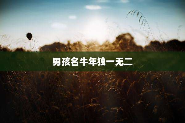 男孩名牛年独一无二