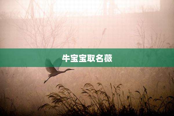 牛宝宝取名薇