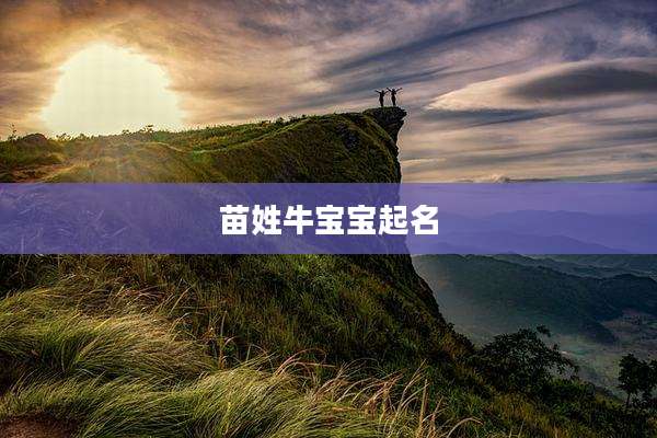 苗姓牛宝宝起名
