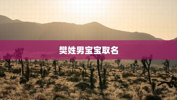 樊姓男宝宝取名