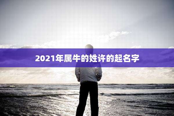 2021年属牛的姓许的起名字