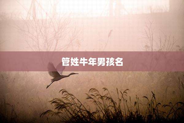 管姓牛年男孩名