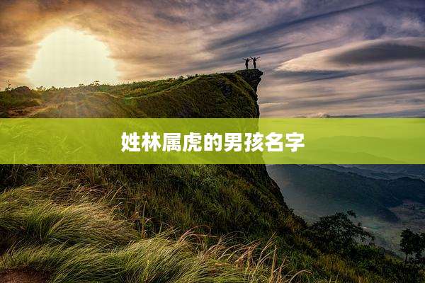 姓林属虎的男孩名字