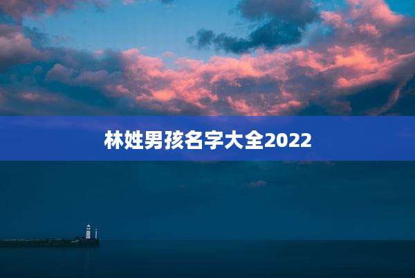 林姓男孩名字大全2022