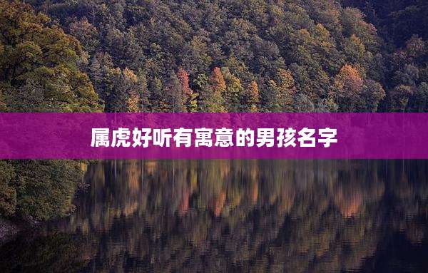 属虎好听有寓意的男孩名字