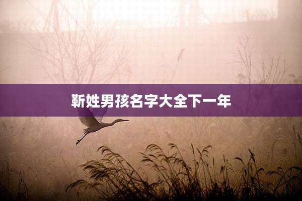 靳姓男孩名字大全下一年