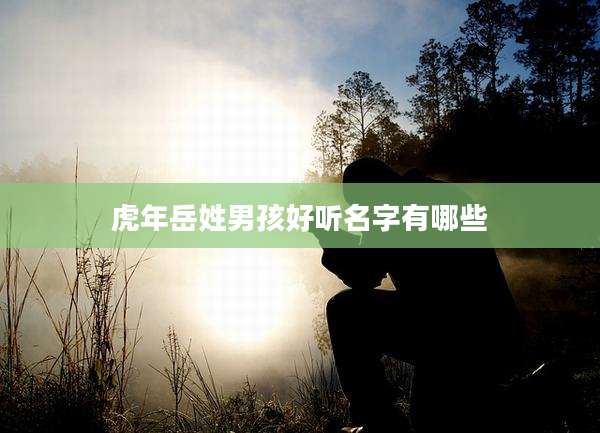 虎年岳姓男孩好听名字有哪些