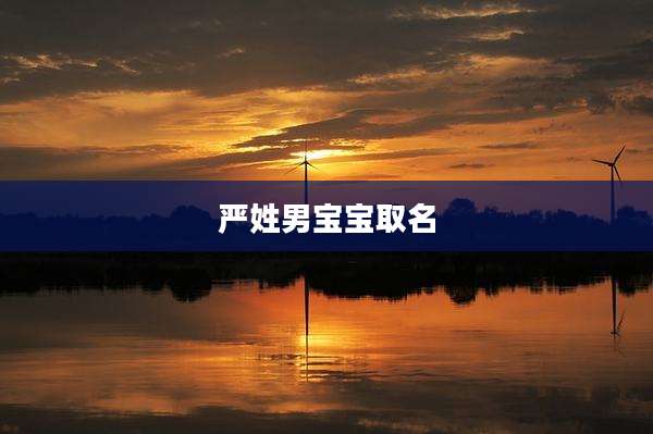 严姓男宝宝取名