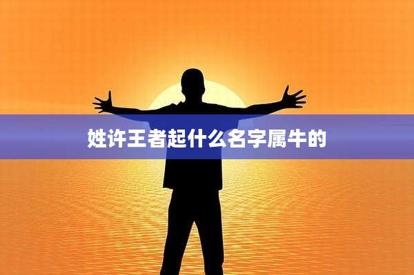 姓许王者起什么名字属牛的
