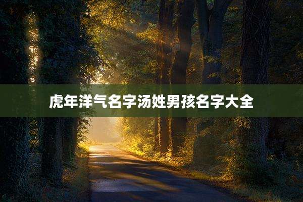 虎年洋气名字汤姓男孩名字大全