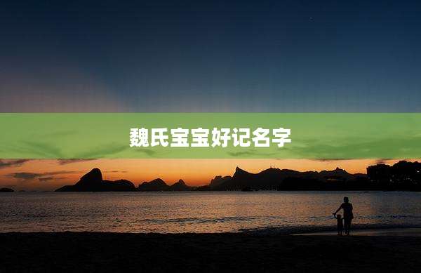 魏氏宝宝好记名字