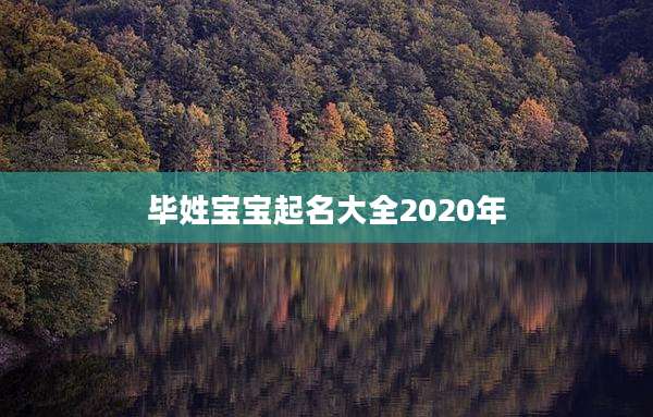 毕姓宝宝起名大全2020年