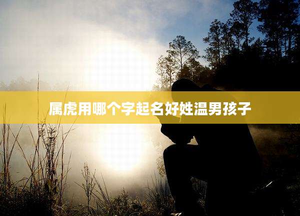 属虎用哪个字起名好姓温男孩子