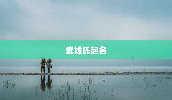 武姓氏起名