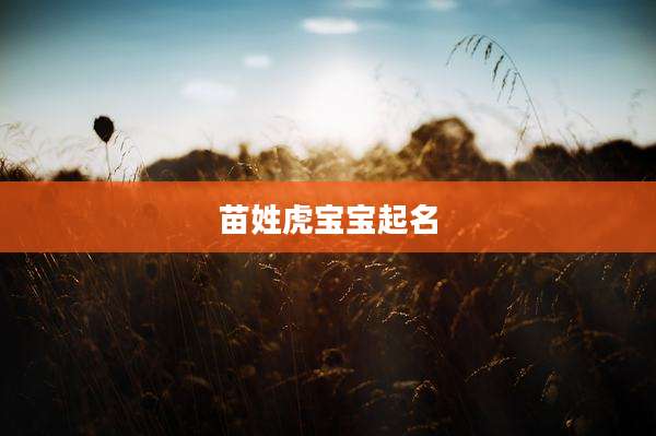 苗姓虎宝宝起名