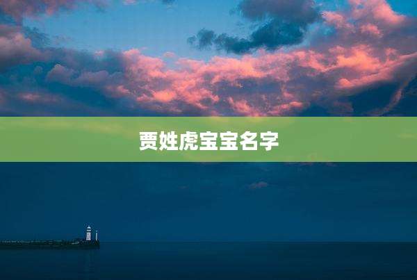 贾姓虎宝宝名字