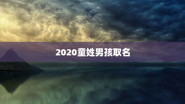 2020童姓男孩取名