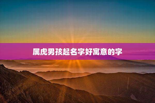 属虎男孩起名字好寓意的字