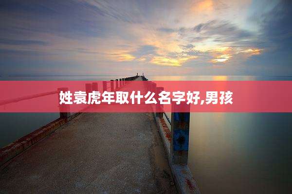 姓袁虎年取什么名字好,男孩