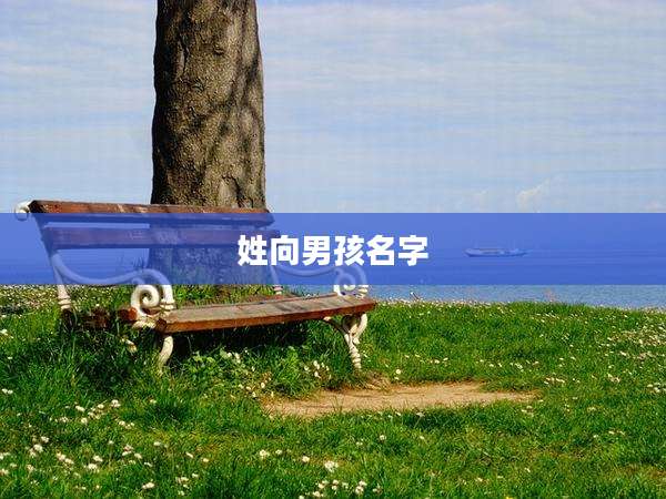 姓向男孩名字