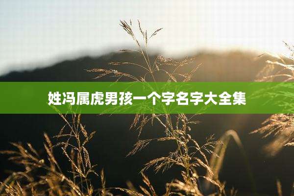 姓冯属虎男孩一个字名字大全集