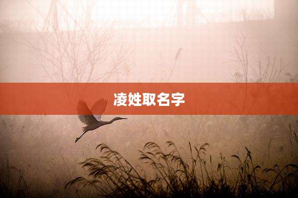 凌姓取名字