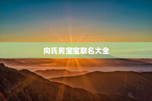 向氏男宝宝取名大全