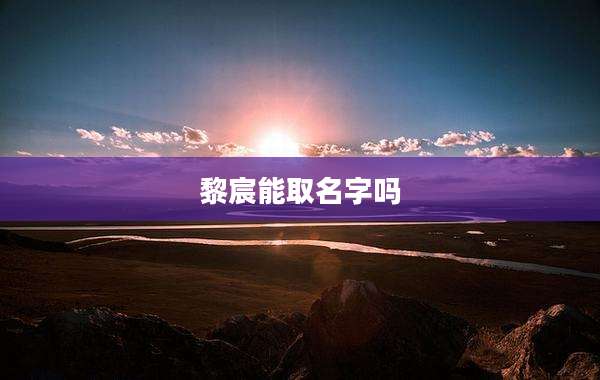 黎宸能取名字吗