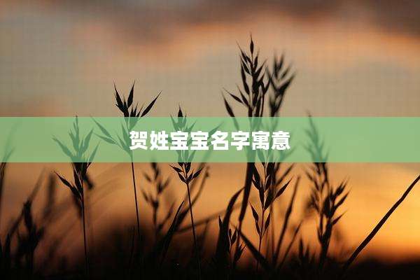 贺姓宝宝名字寓意