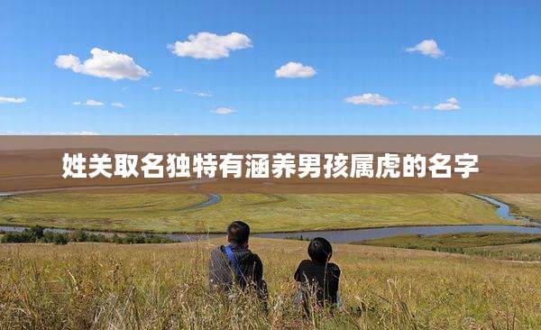 姓关取名独特有涵养男孩属虎的名字
