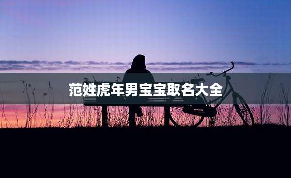 范姓虎年男宝宝取名大全