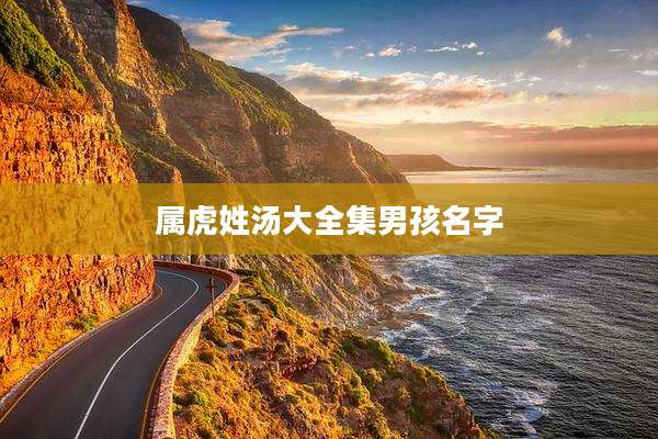 属虎姓汤大全集男孩名字