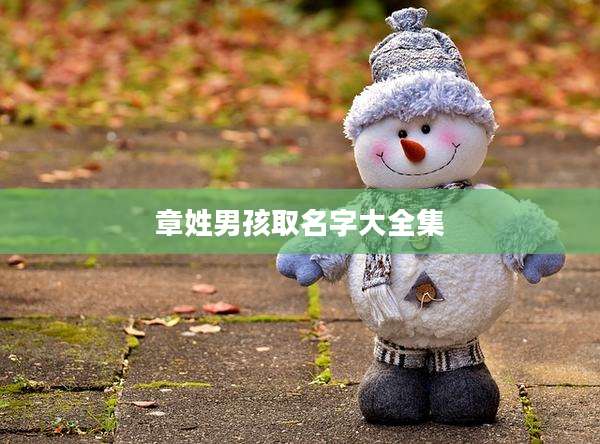 章姓男孩取名字大全集