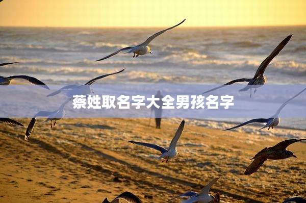 蔡姓取名字大全男孩名字