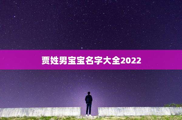 贾姓男宝宝名字大全2022