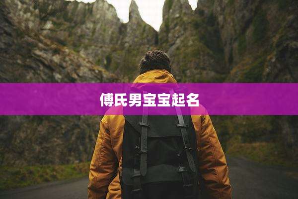 傅氏男宝宝起名