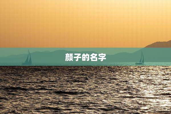 颜子的名字