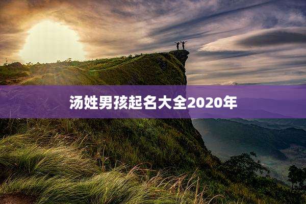 汤姓男孩起名大全2020年