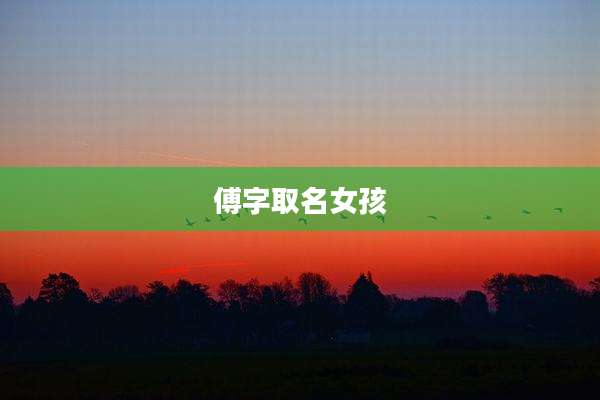 傅字取名女孩