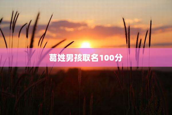 葛姓男孩取名100分