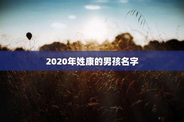 2020年姓康的男孩名字