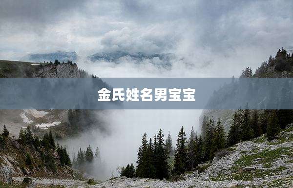 金氏姓名男宝宝