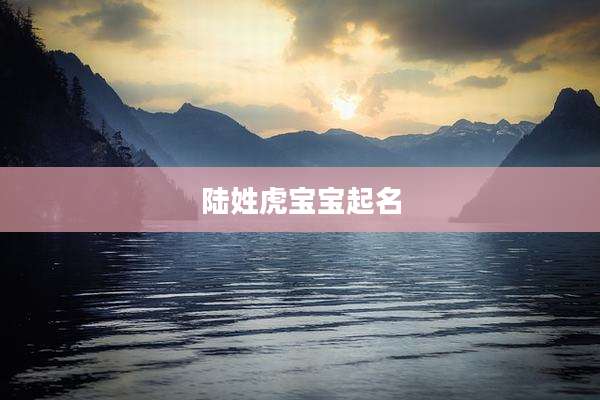 陆姓虎宝宝起名