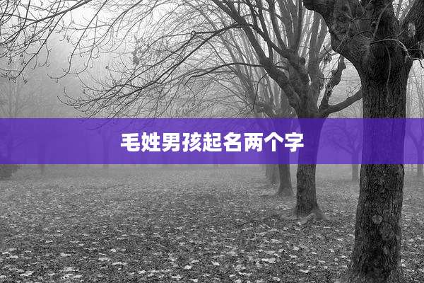毛姓男孩起名两个字
